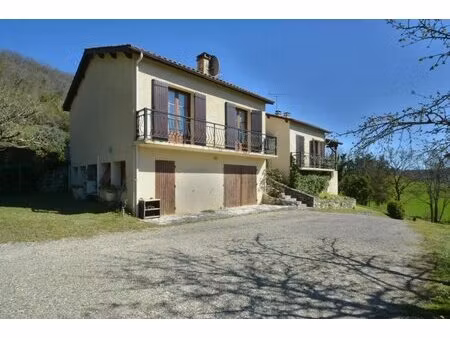 maison spacieuse avec appartement à pont-du-casse