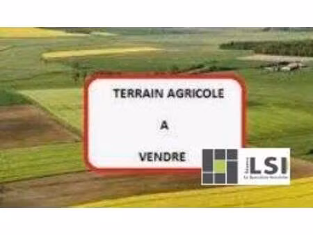 terrain à vendre