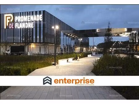 location commerce neuville en ferrain 59960 1200m²