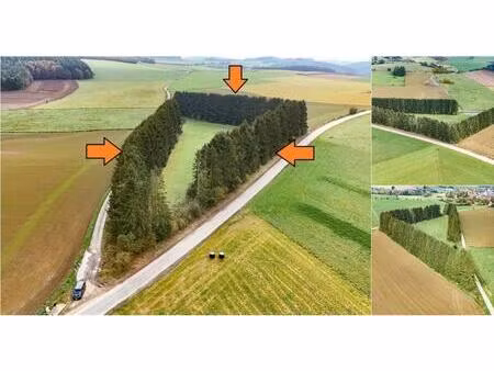 terrain à lotir à vendre à chemin d'ortho f829a ortho (rbv82941)