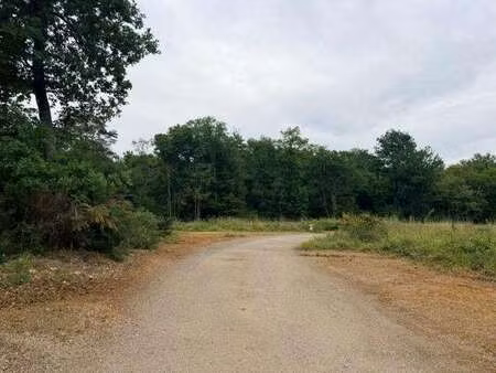 vente terrain à verrie (49400) : à vendre / 704m² verrie