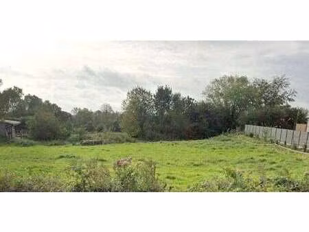 vente terrain à cambernon (50200) : à vendre / cambernon