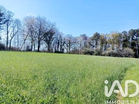 vente terrain à camors (56330) : à vendre / 880m² camors