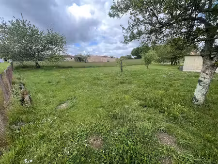 terrain - 1699 m²