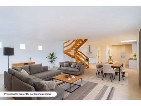 duplex. 3ch avec terrasse + poss. profession libérale