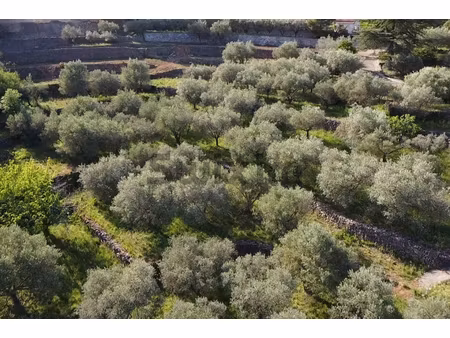 annonce terrain à vendre
