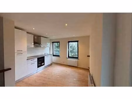 maison 1 ch  terrace  visé 4600 - 71m²