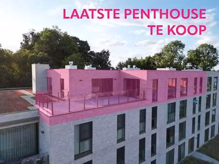 luxe penthouse met royaal zonneterras