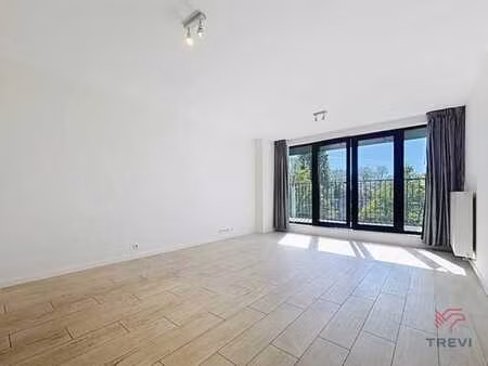 bel appartement 1 chambre + p