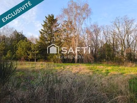 vente terrain à échemiré (49150) : à vendre / 2791m² échemiré