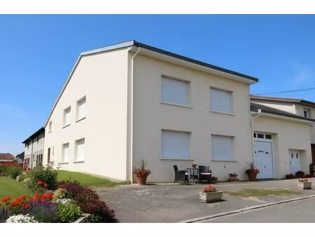 dpt vosges (88)  à vendre secteur vittel de village t7 de 324 m2 + hangar / 1500 m2...