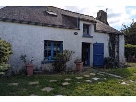 achat : maison (56140)