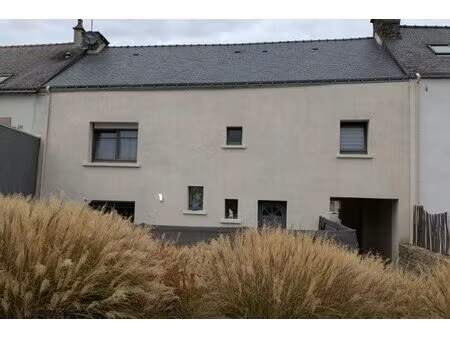 achat : maison (56120)