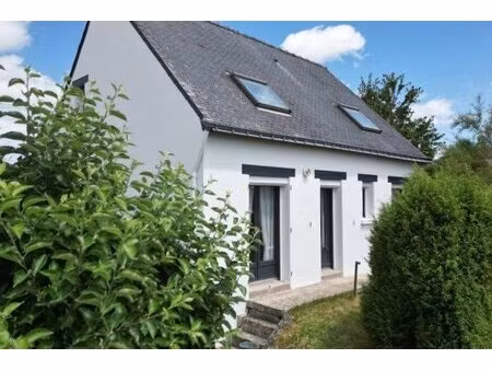 achat : maison (56120)