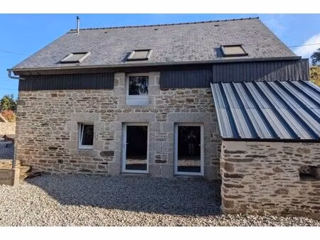 achat : maison (56800)