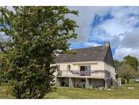 achat : maison (56120)