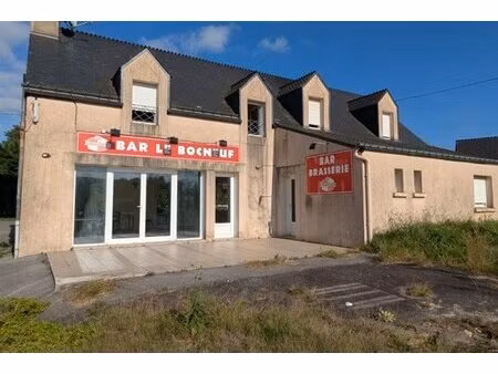 achat : maison (56120)