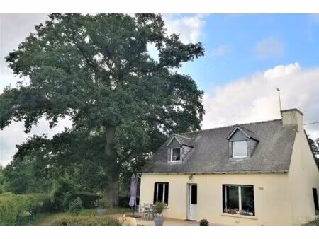 achat : maison (56490)