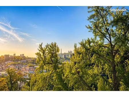 appartement t3 entièrement rénové