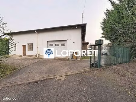 local 220 m² neuville sur saone