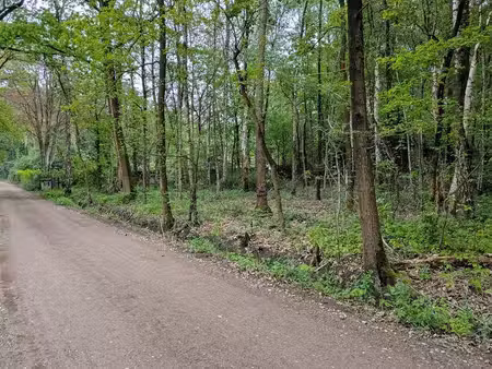 terrain à vendre à essen € 195.000 (lnvhb) - heylen vastgoed - kalmthout | zimmo