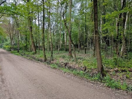 terrain à vendre à essen € 210.000 (lnvhb) - heylen vastgoed - kalmthout | zimmo