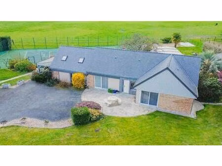 pineau immobilier - l'agence angevine