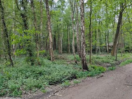 terrain à vendre à essen € 210.000 (lnvhc) - heylen vastgoed - kalmthout | zimmo