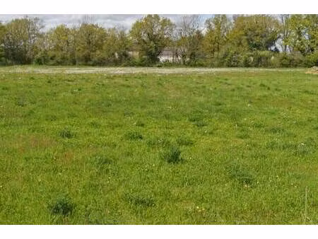 terrain constructible à vendre