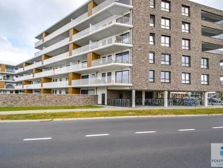 appartement à louer à aalter € 1.100 (lnum8) - perspectief vastgoed | zimmo