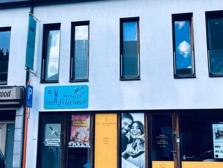 appartement à louer à deerlijk € 600 (h35gv) - de huiskamer bij tine dujardin | zimmo