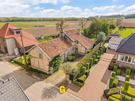maison à vendre à hoeselt € 560.000 (lnvdx) - zaken en immokantoor goffin | zimmo