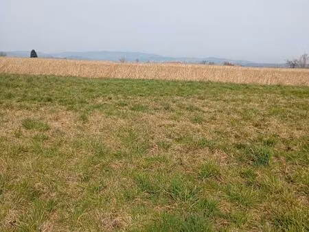 terrain constructible viabilisé à vendre