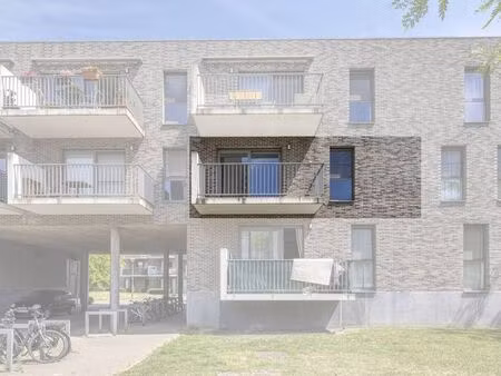 appartement à louer à hoboken € 875 (lnvst) - dewaele - wilrijk | zimmo