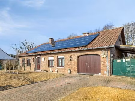 maison à vendre à koersel € 505.000 (lnue2) - era de piramide (heusden-zolder) | zimmo