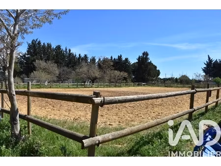 vente haras 5 pièces