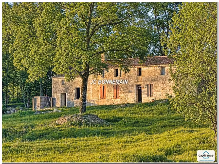 vente maison 8 pièces 280 m² chermignac (17460)