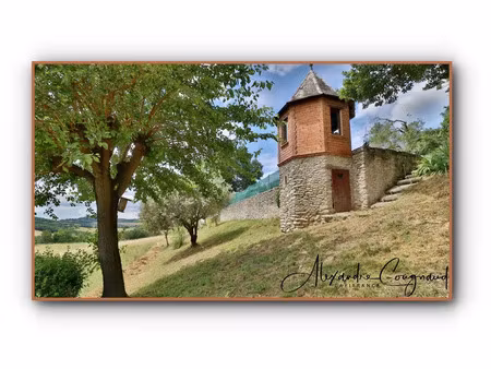 vente maison 7 pièces 215 m² puylaurens (81700)