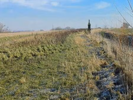 parcelle agricole