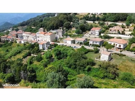 terrain 2 008 m² sainte lucie de tallano