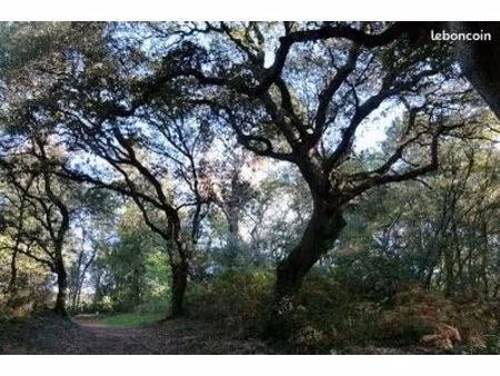terrain 1000 m² rochefort-du-gard