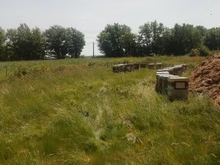 emplacements ruches