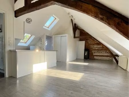 appartement sous combles  très lumineux en centre ville
