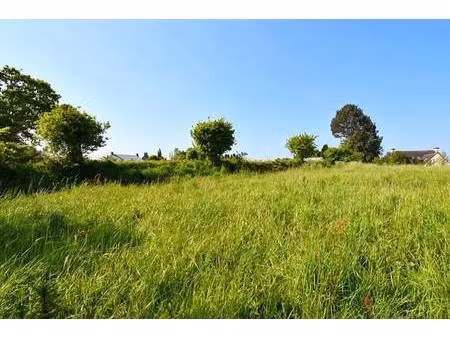 terrain constructible viabilisé à vendre