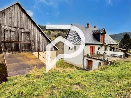 stephane plaza immobilier colmar -sud