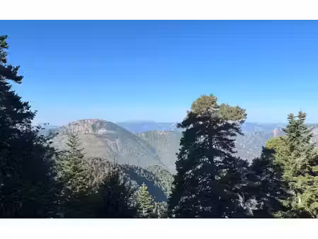 terrain lucéram m² t- à vendre  45 000 €