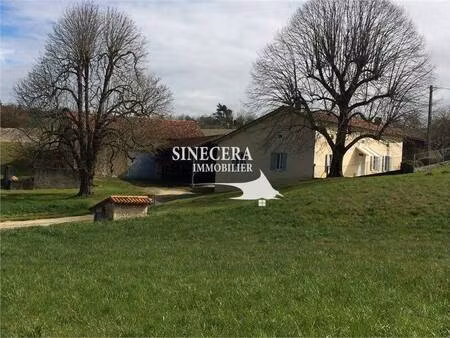 sinecera immobilier