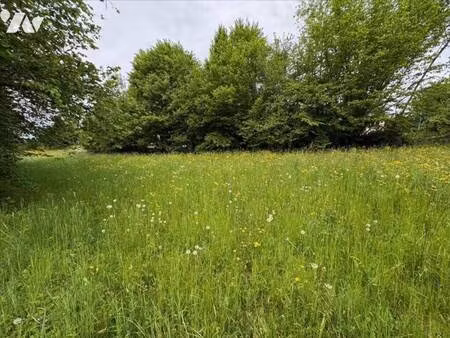 terrain à vendre