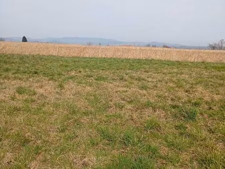terrain constructible viabilisé à vendre