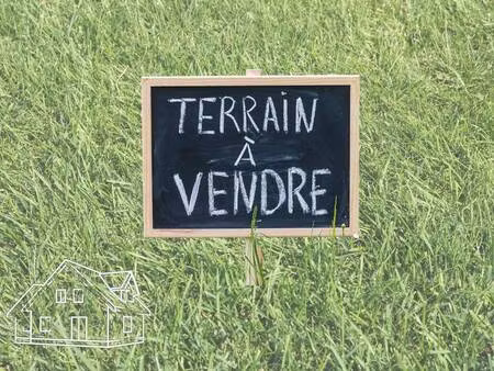 wilmar filliatre - advance immobilier